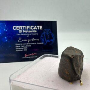 Brecciated , L , Chondrite