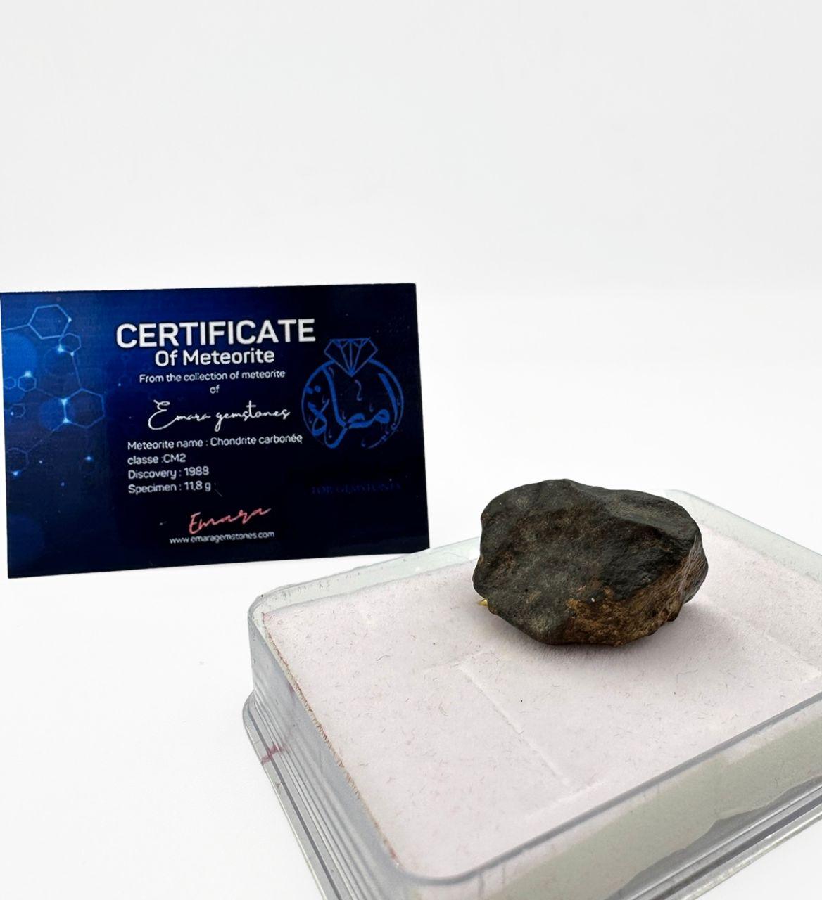 Chondrite carbonée - Image 6