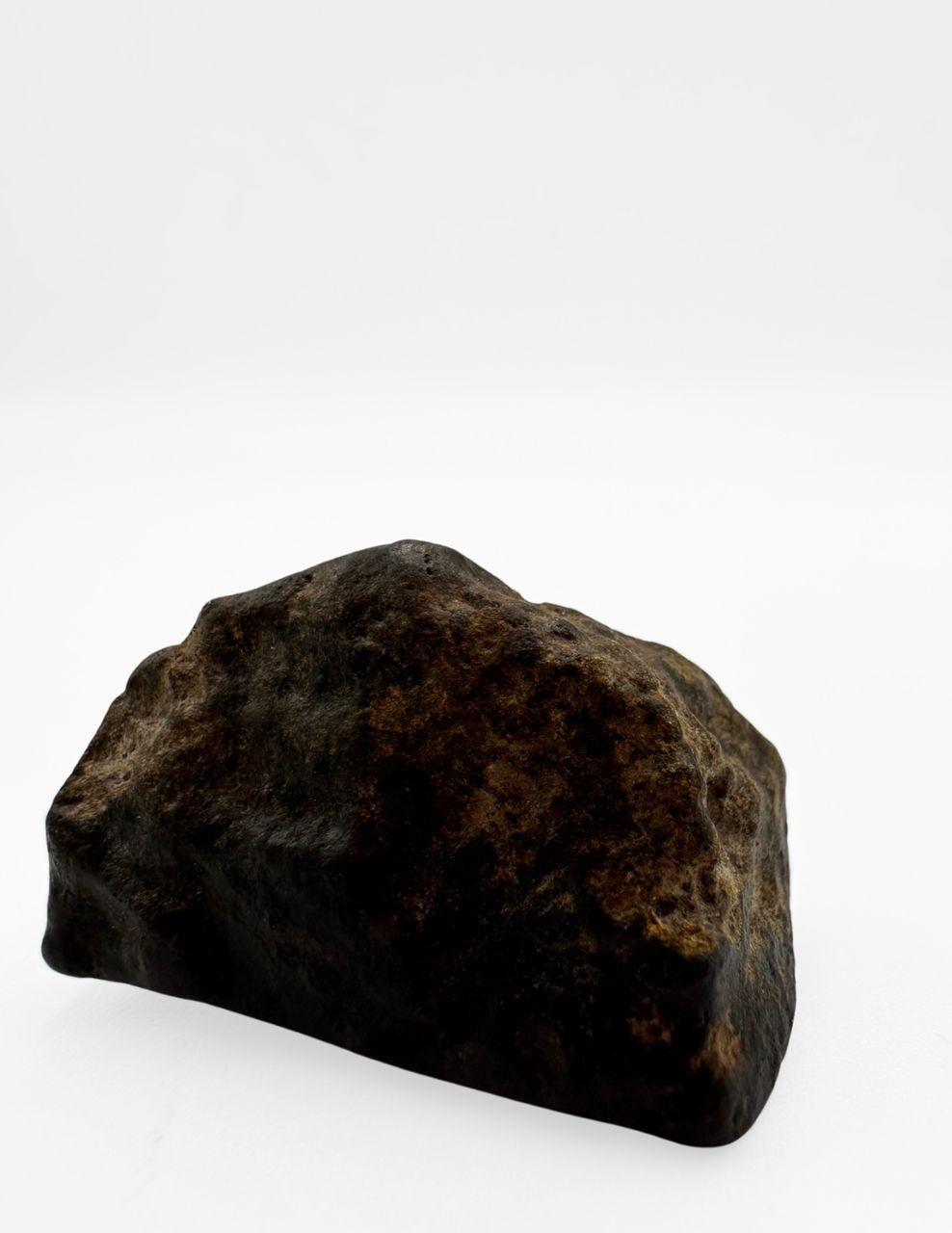 Chondrite carbonée - Image 5