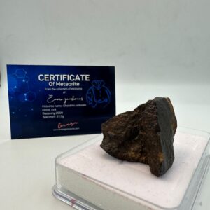 Chondrite carbonée
