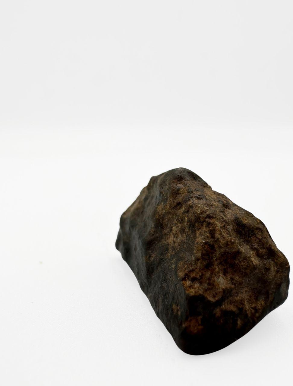 Chondrite carbonée - Image 3